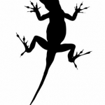 Quieting The Lizard Brain – Embrace Your Inner Reptile