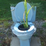 A Bucket and a Bag of Cat Litter,
