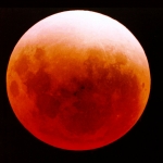 Total Eclipse of the Moon