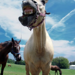 Other people have boundaries too