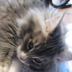 The Care and Feeding of Relationships