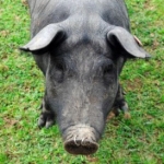 The Fear of Not Being Good Enough