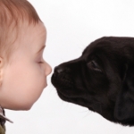 Safe People – How to Spot Them? Develop Boundaries.