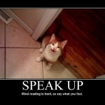 On being a mind reader