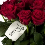Apologies and the Art of the Apology