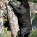 I’m Sorry. You Don’t Have What It Takes to Succeed.